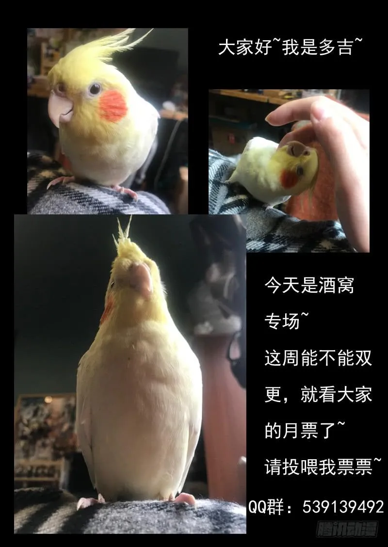 第一四四话 第12页