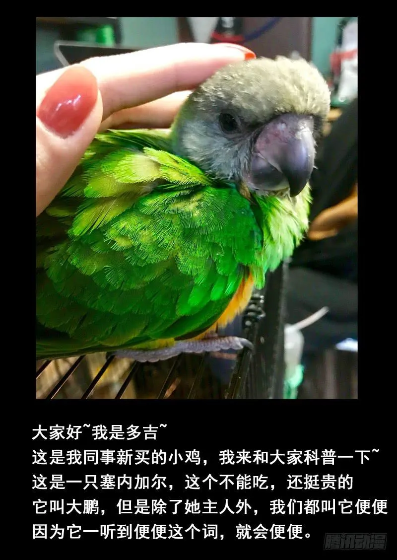 第一四六话 第10页