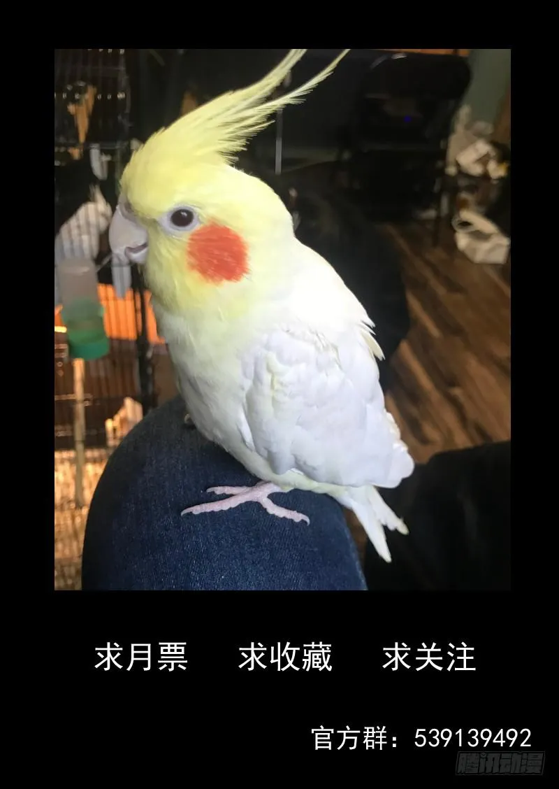 第一四七话 第10页