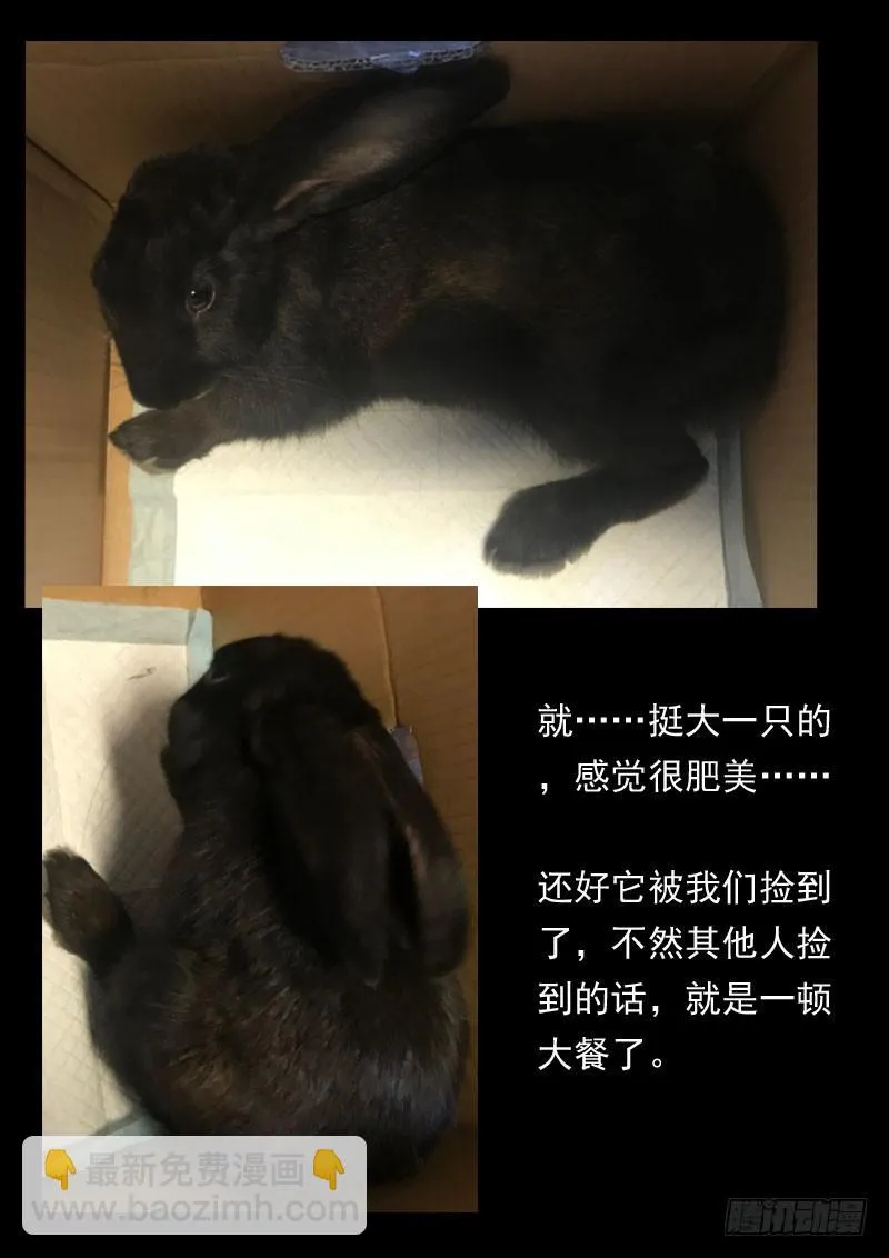 第一六零话 第11页