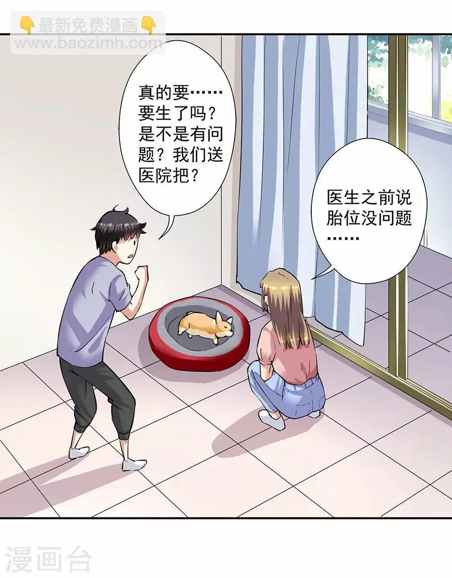 第33话7 捡到一只狗 第17页