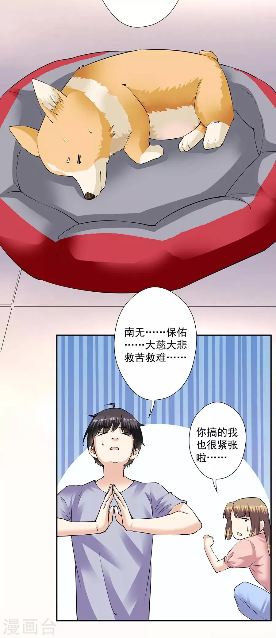 第33话7 捡到一只狗 第19页