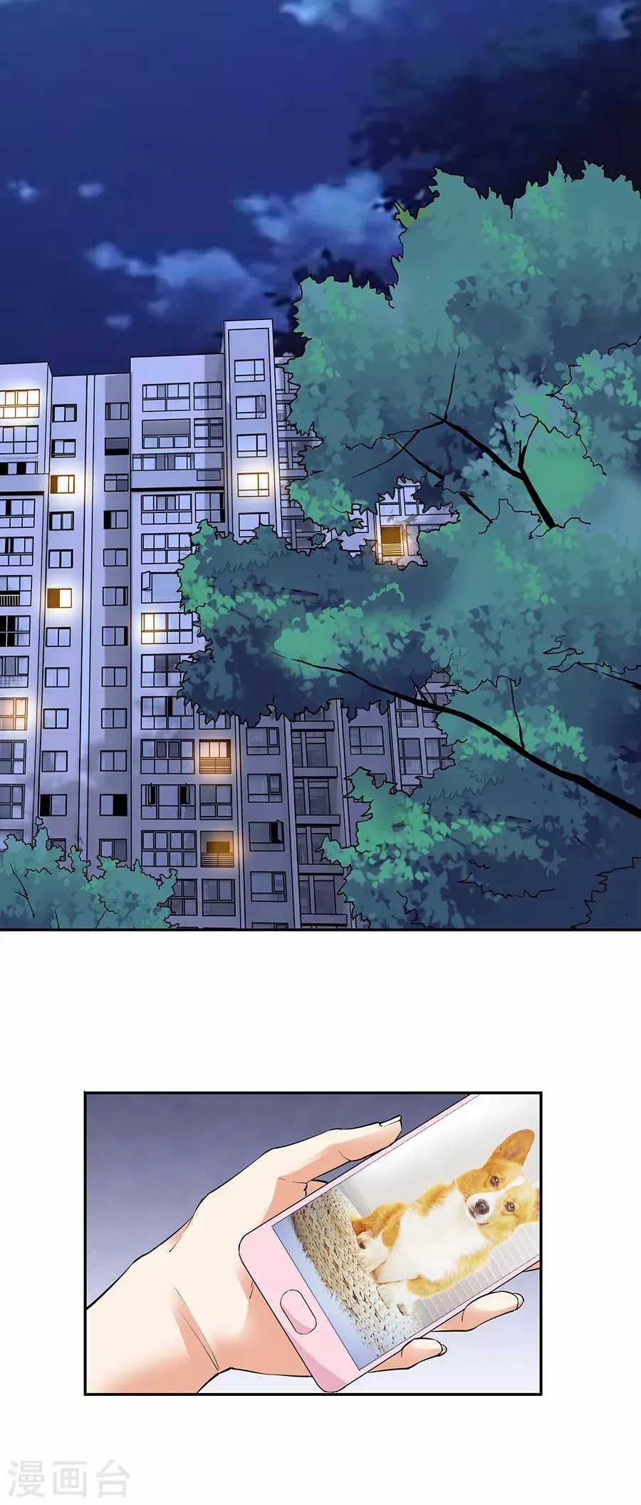 第33话5 捡到一只狗 第9页