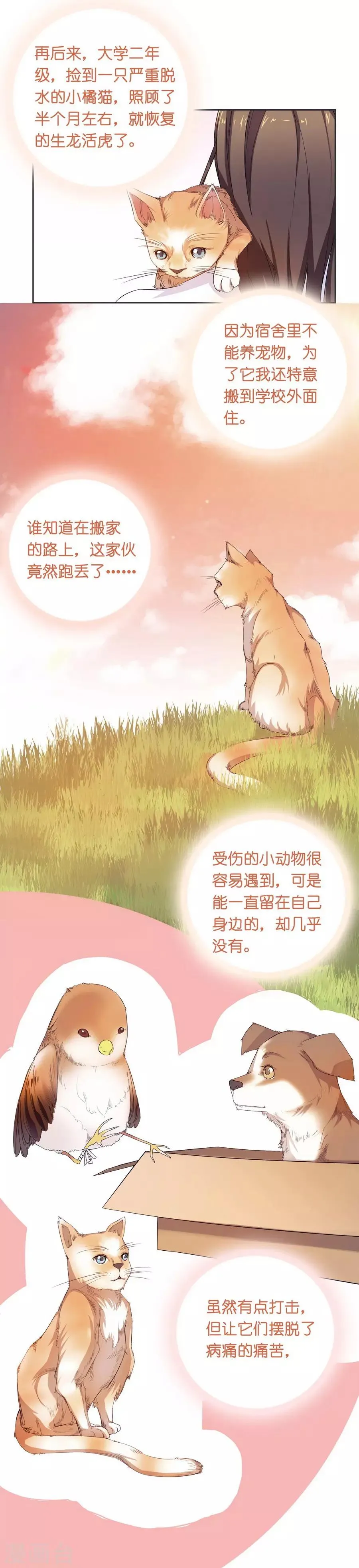 第10话 凉凉 第15页