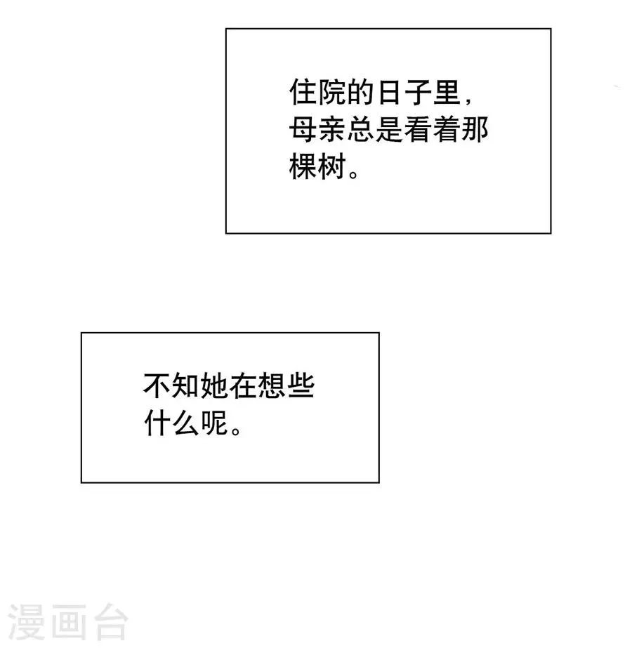 第20话6 和陌生人结婚了 第24页