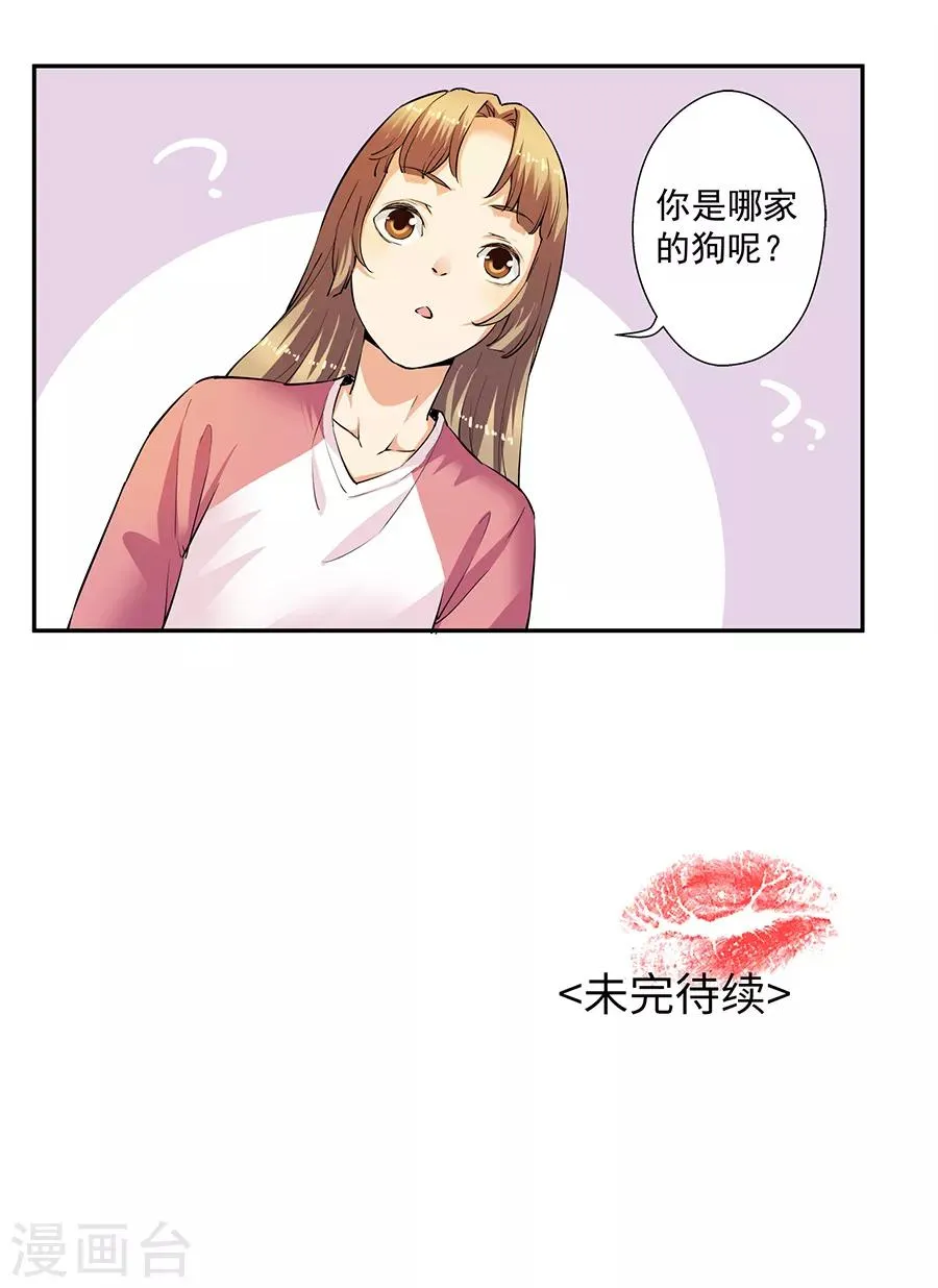 第33话1 捡到一只狗 第15页