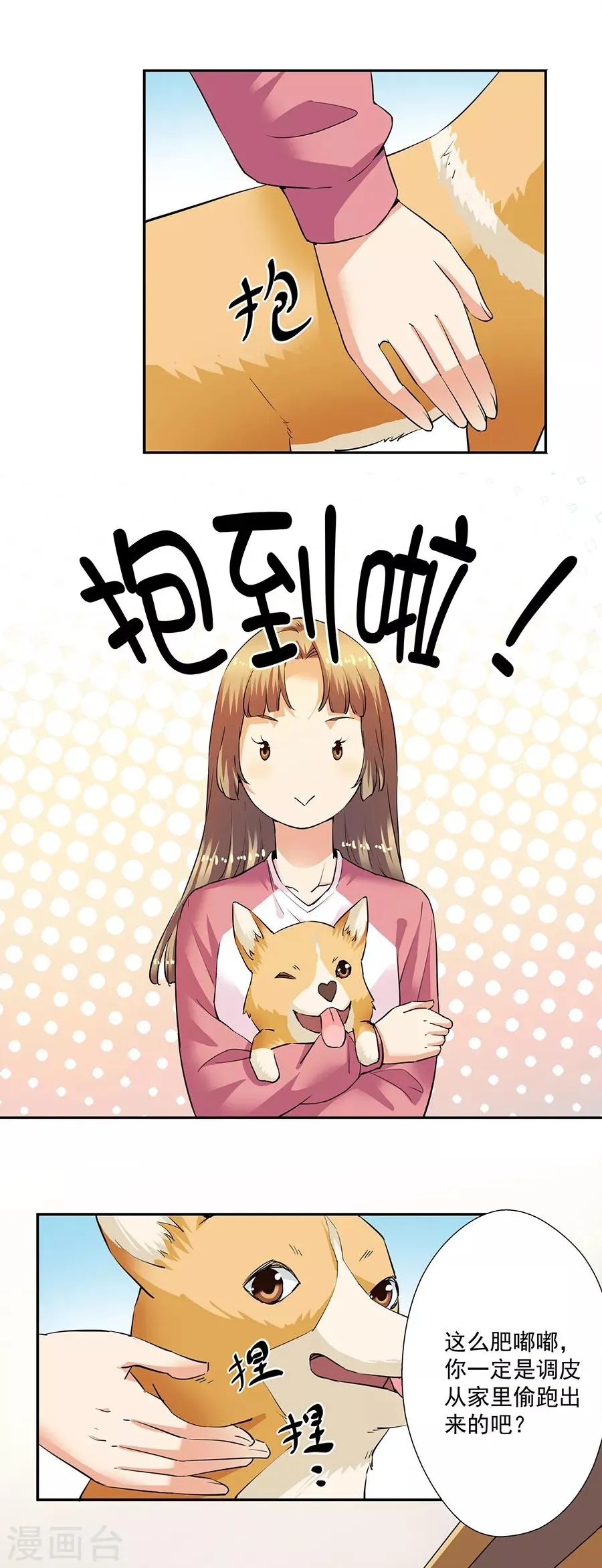 第33话2 捡到一只狗 第3页