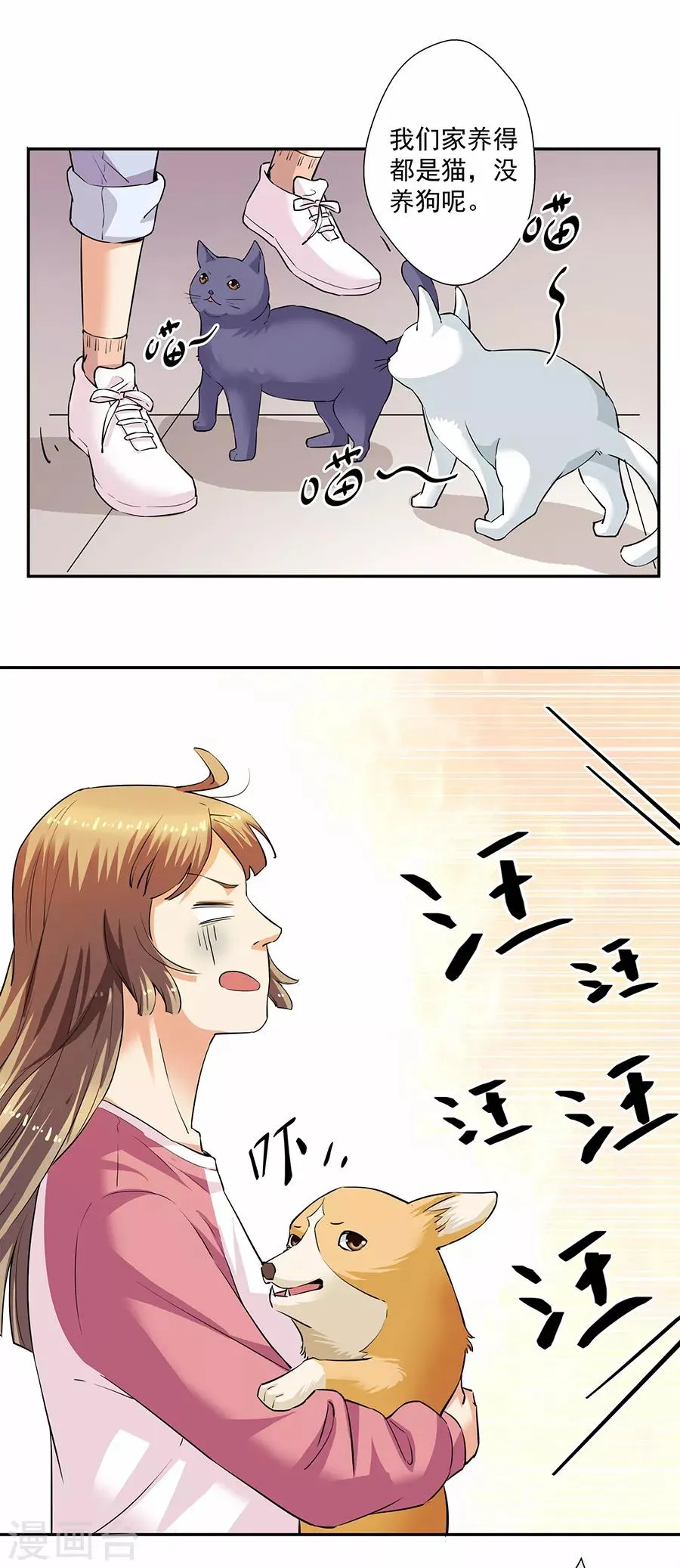 第33话2 捡到一只狗 第5页