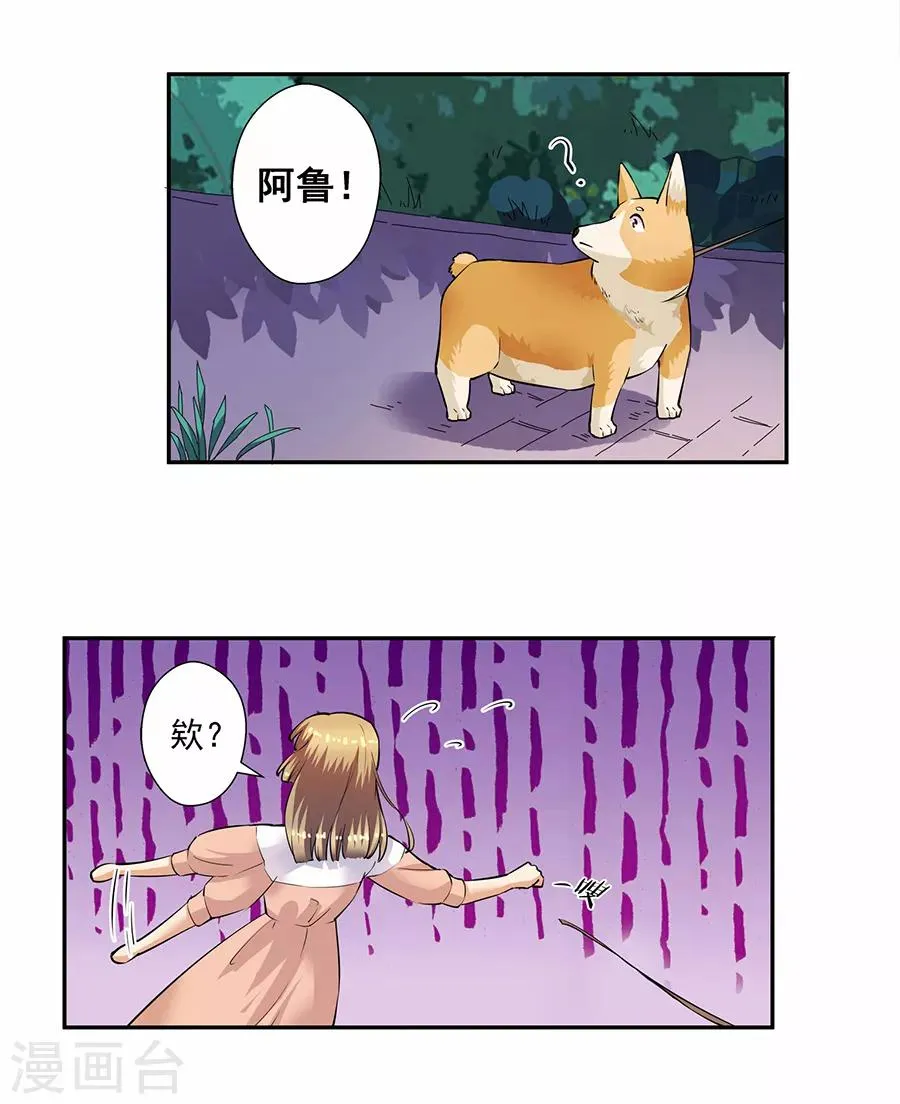 第33话3 捡到一只狗 第13页