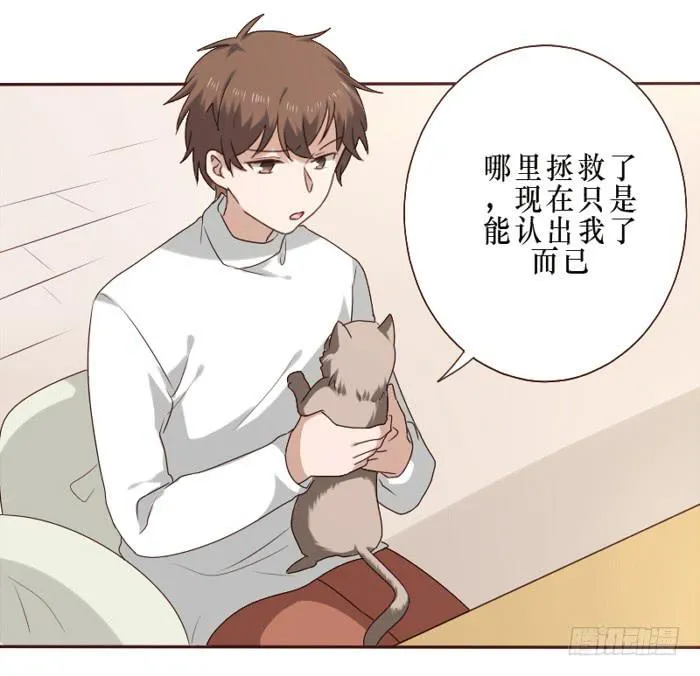 第036话 第41页