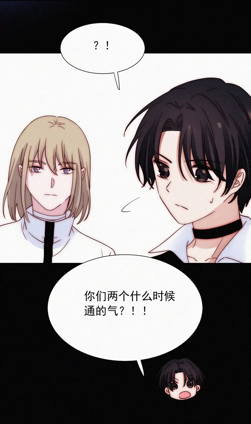067 赌一把 第7页