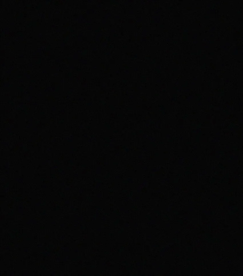 066 圣子细胞 第48页