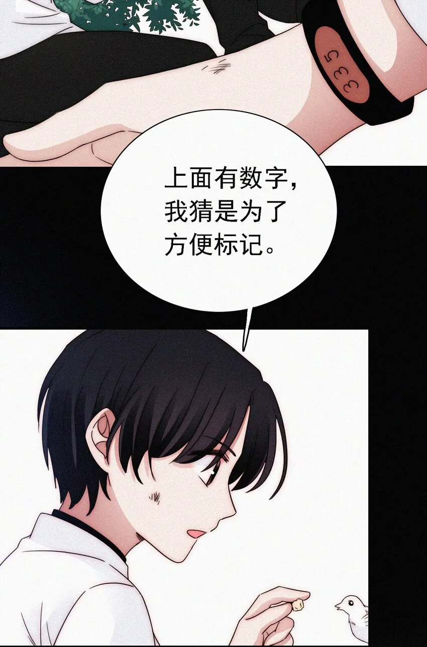 051 高墙、小鸟 第16页