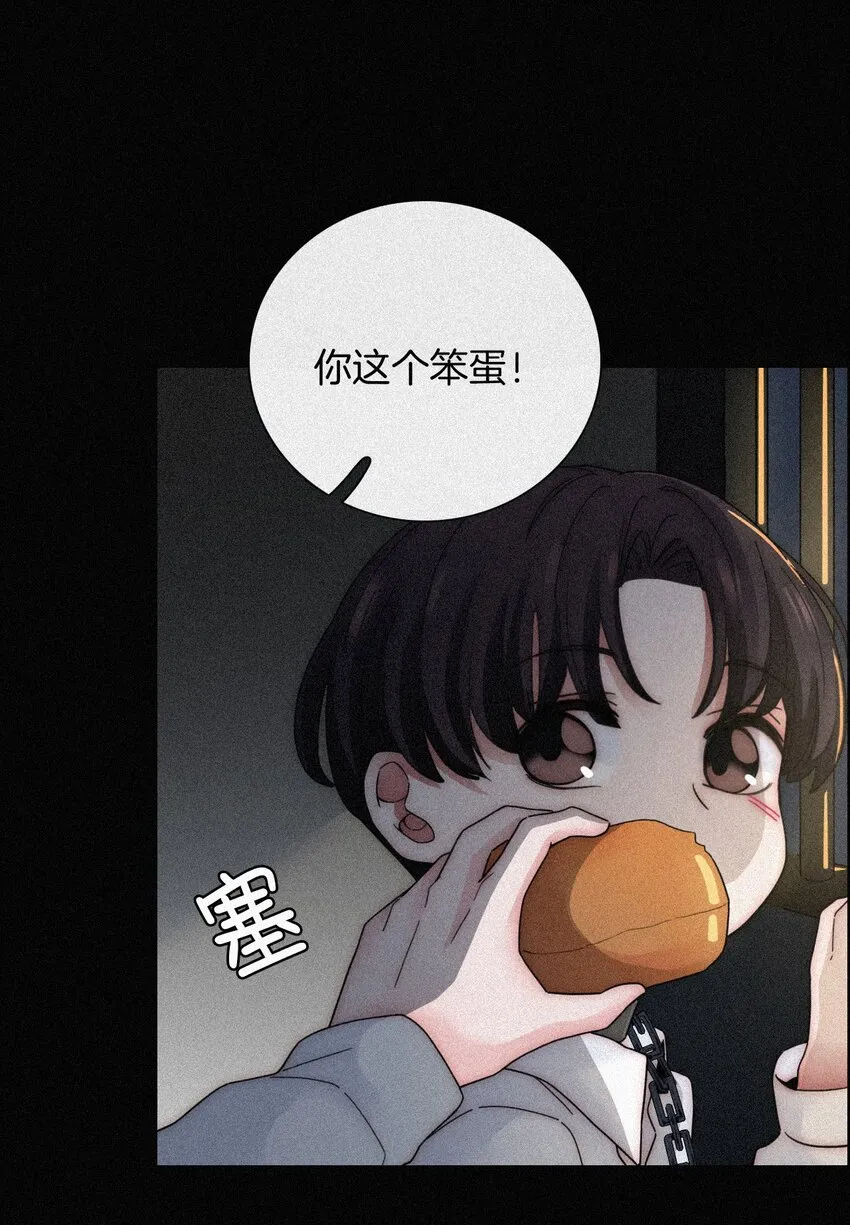026 有猫、解约 第24页