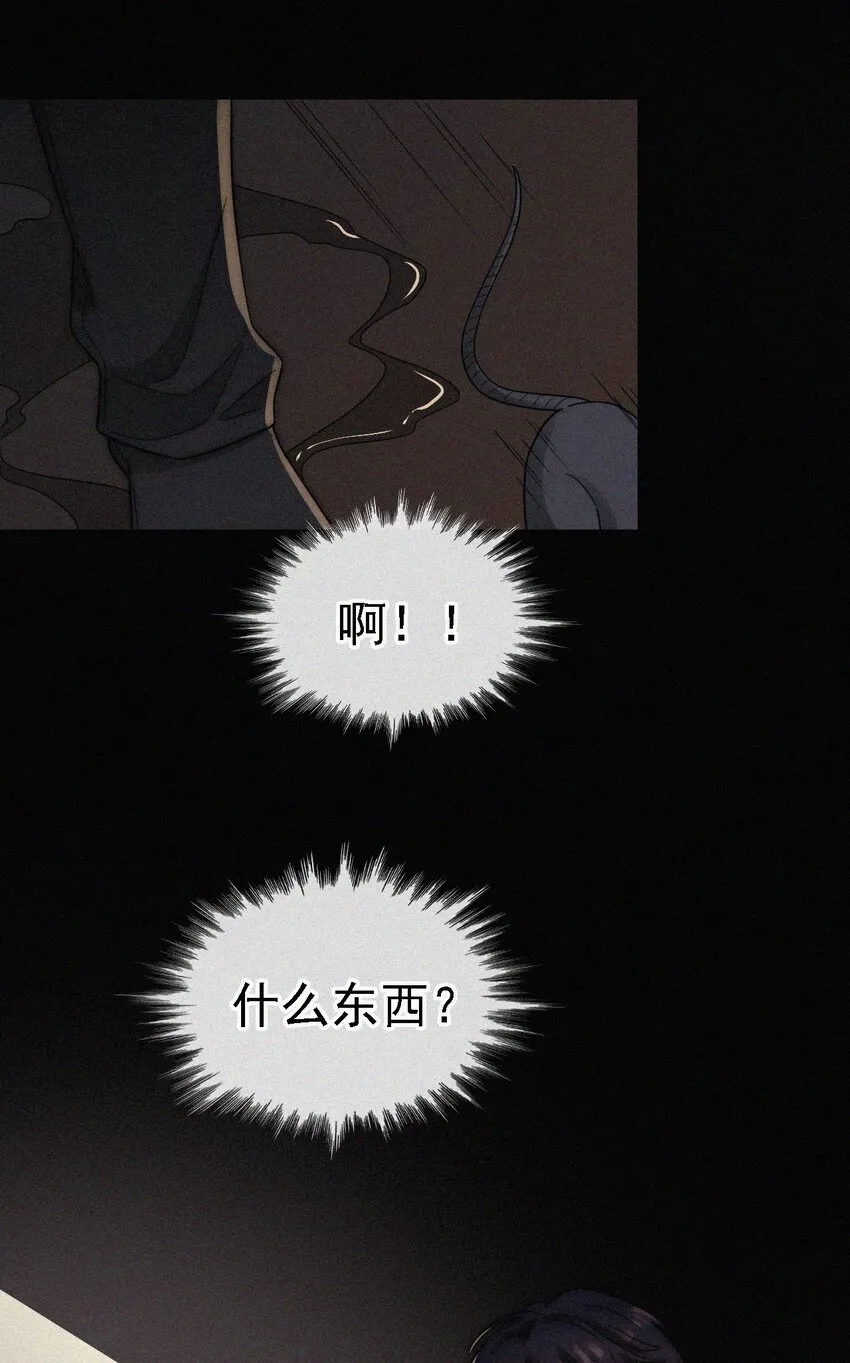 039 波利、呼唤 第4页