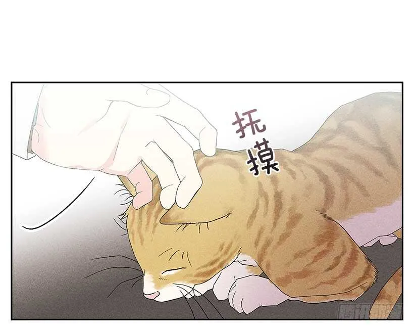 31.我会想你的 第46页