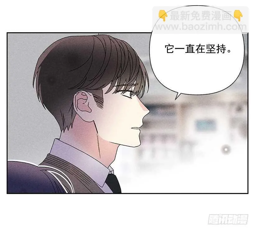 31.我会想你的 第56页