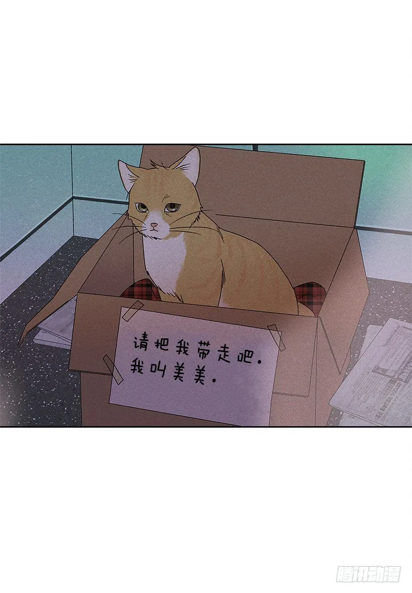 12.你要是能不去就好了 第14页