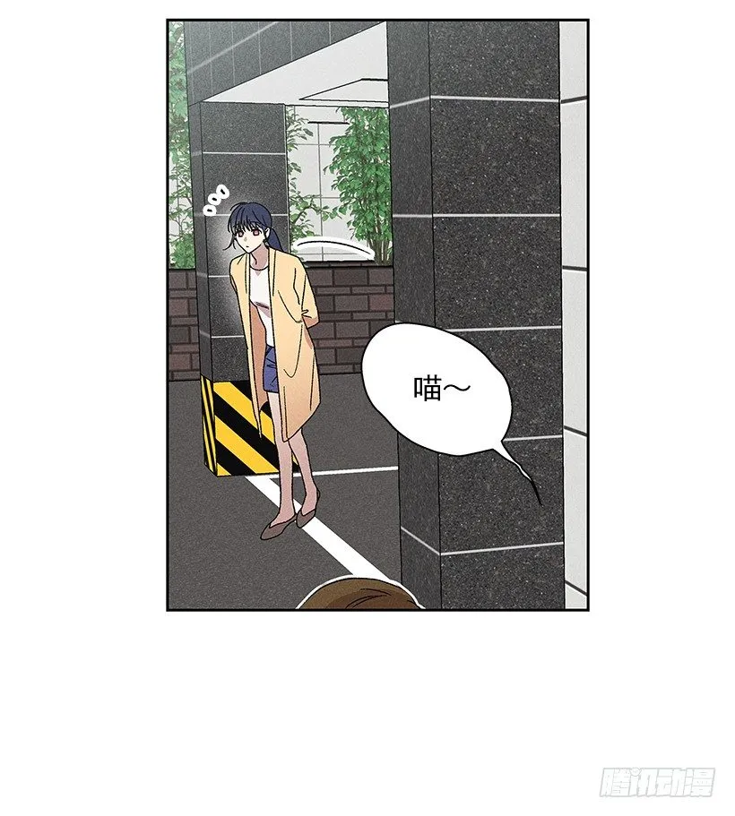14.像跟踪狂一样… 第42页
