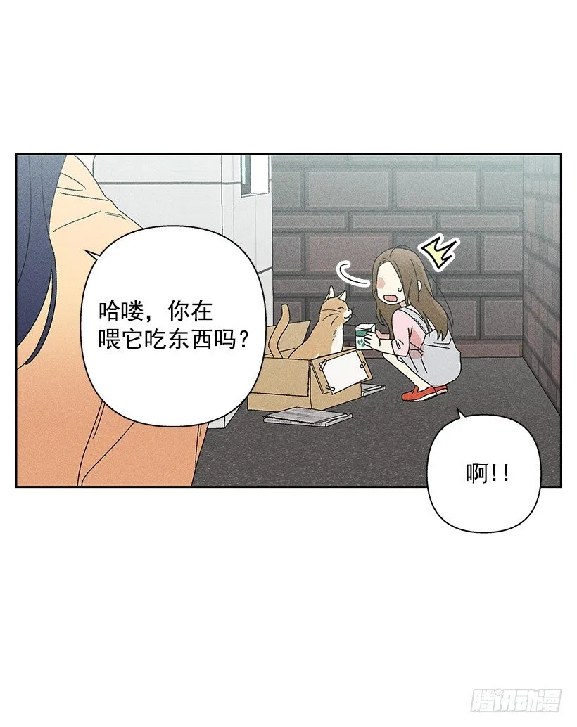 14.像跟踪狂一样… 第43页