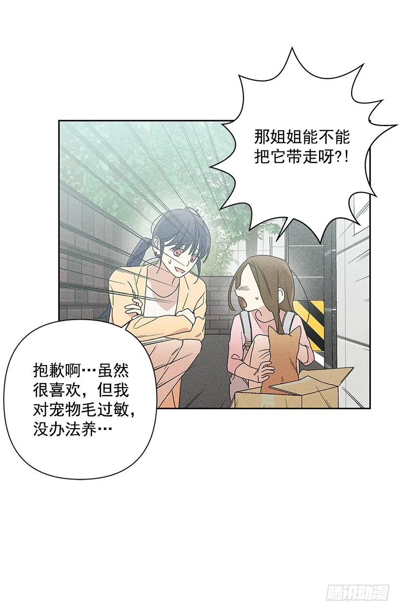 14.像跟踪狂一样… 第46页