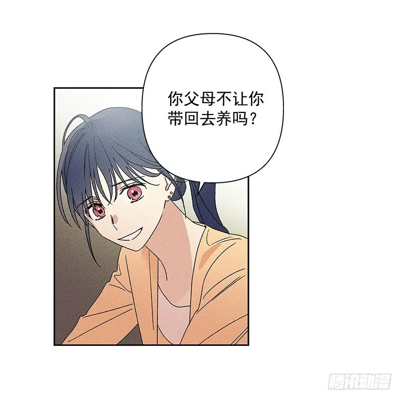 14.像跟踪狂一样… 第48页