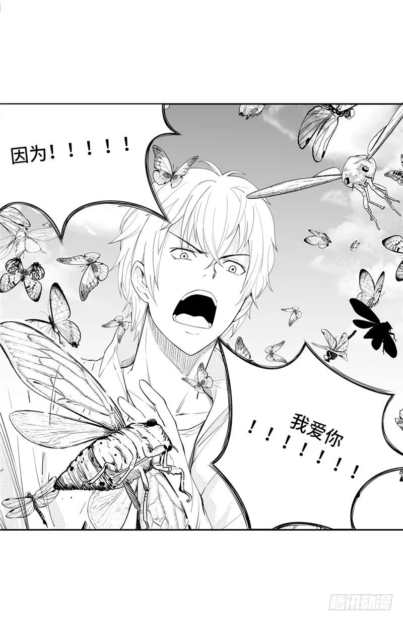 大师D 66 第17页
