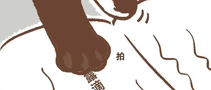 特别番外 狐狸？陈老板！ 第53页