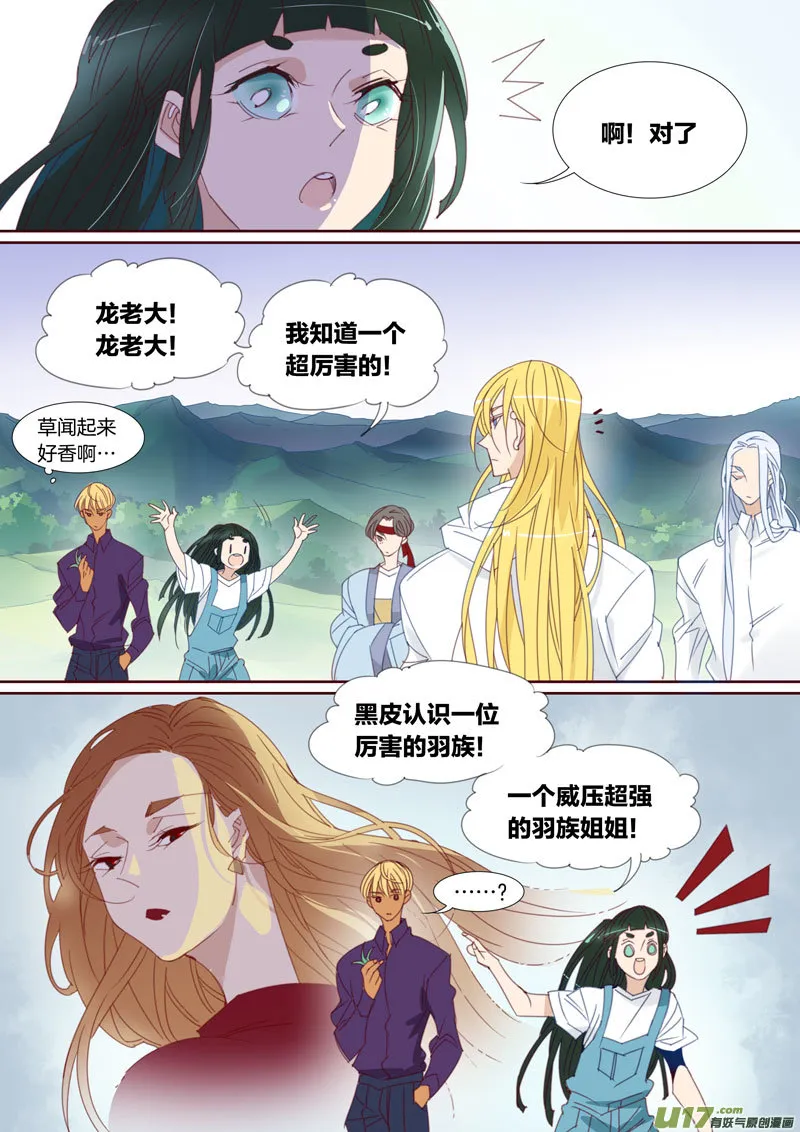 33 第8页