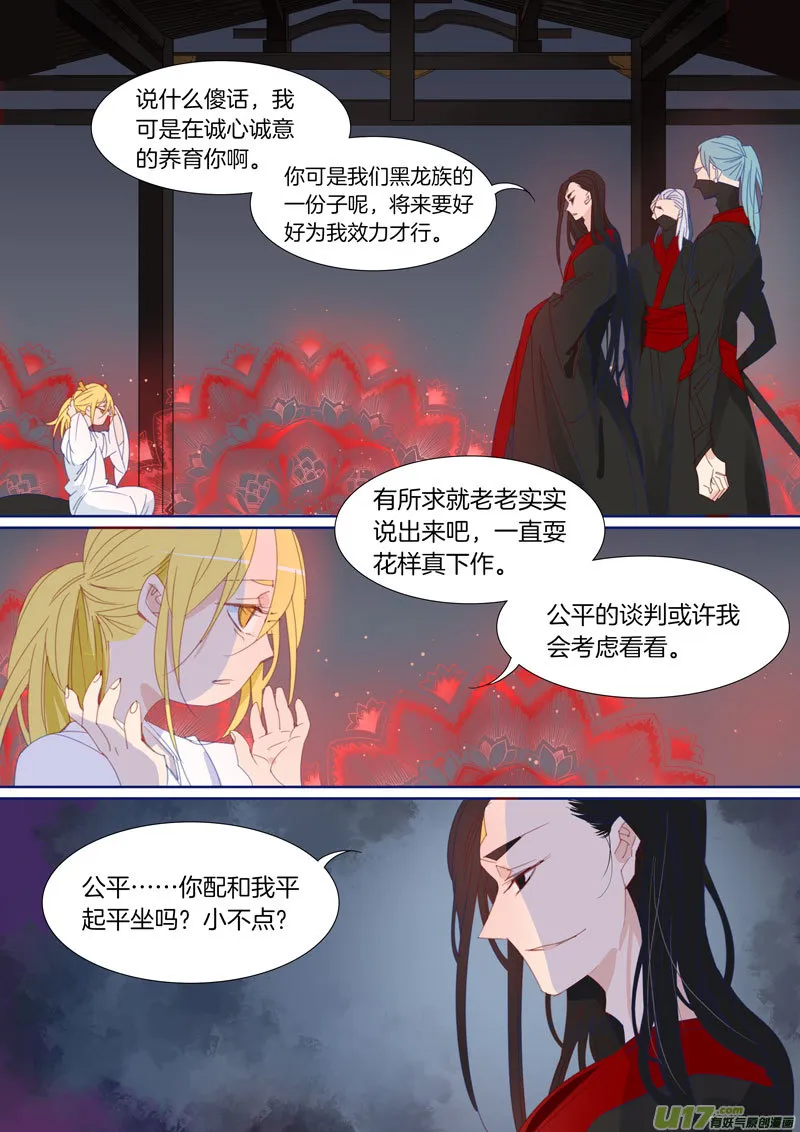 41 第2页