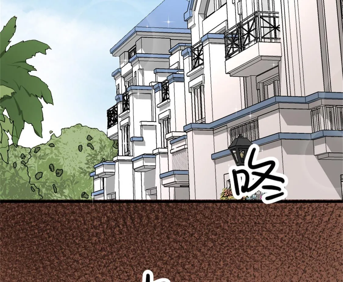 没有婚礼就结婚了 第5页