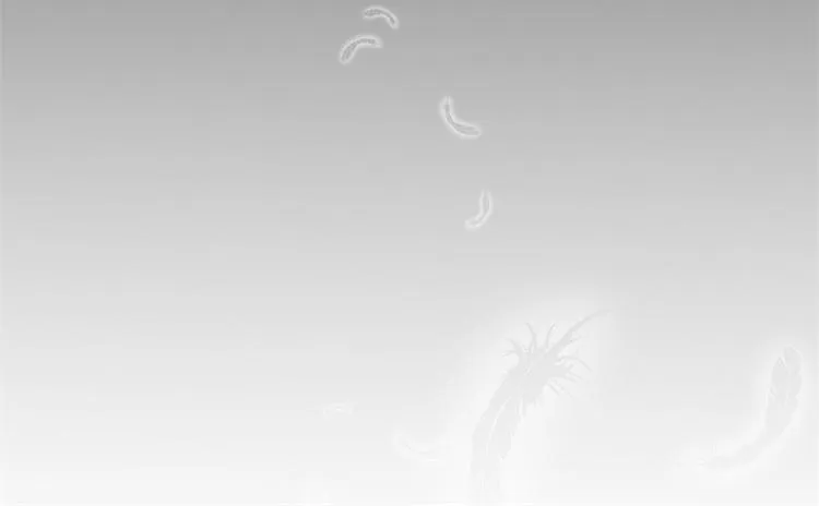 第19话 连续偶遇相亲事件 第20页