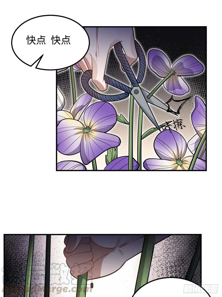 114.禁令 第46页