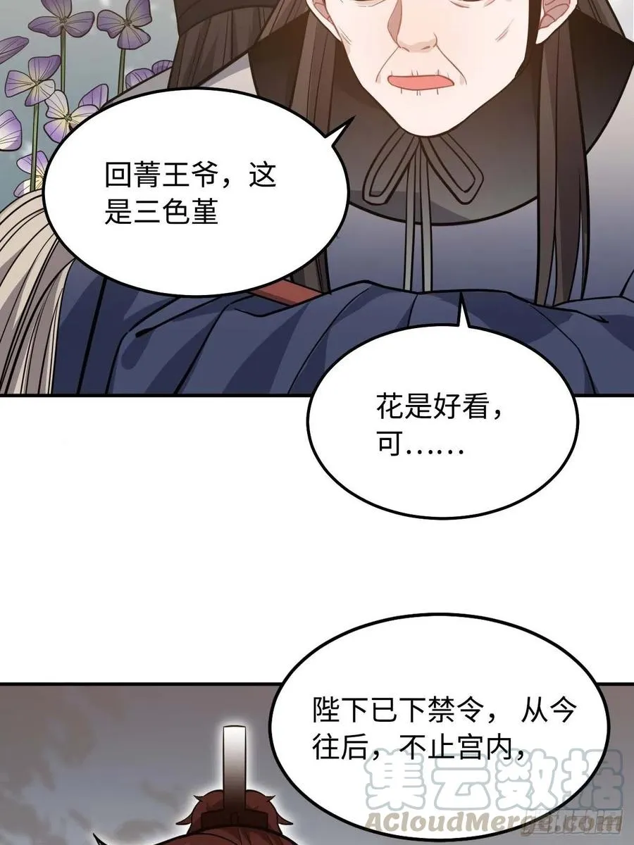 114.禁令 第52页
