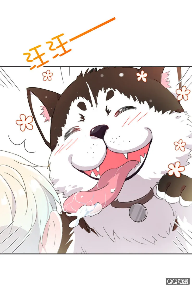是天使也是魔鬼 第29页
