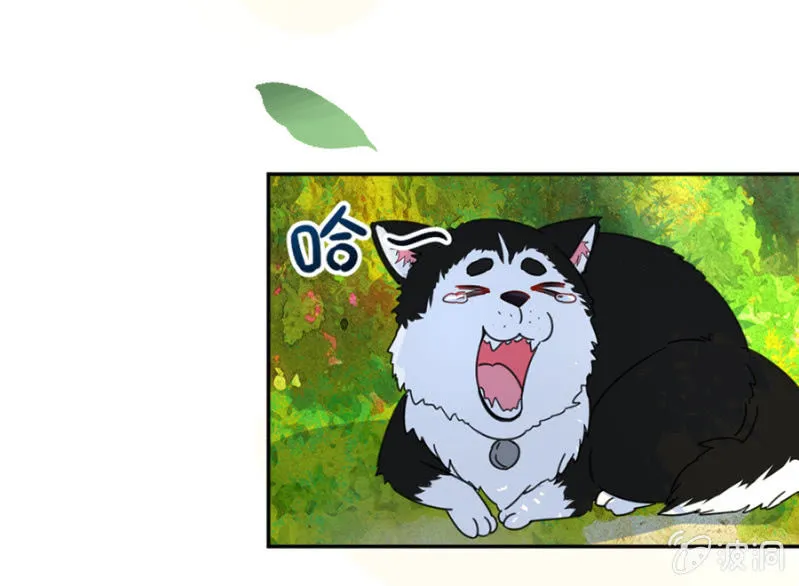 你居然这么看我！ 第15页