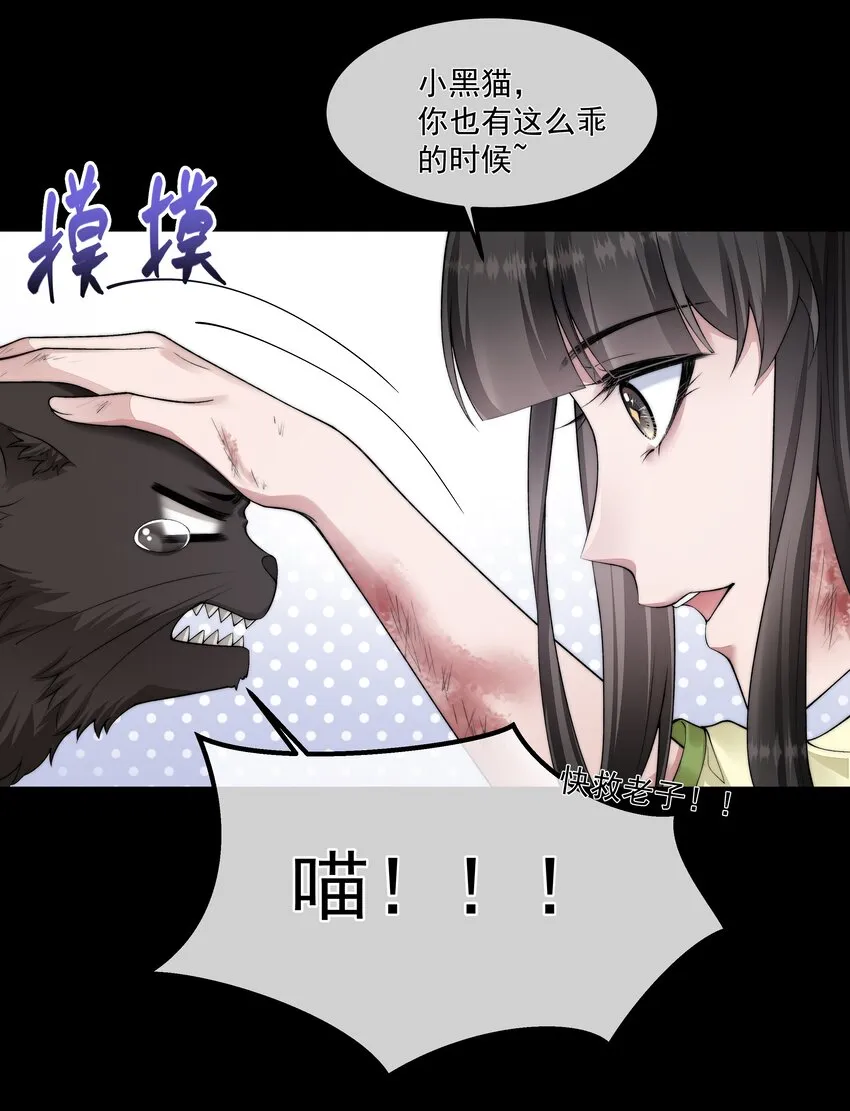 068 结婚 第13页
