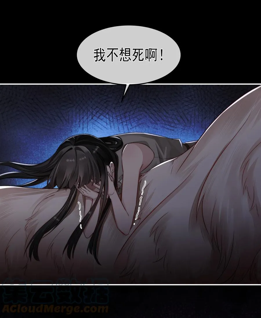009 觉醒 第5页