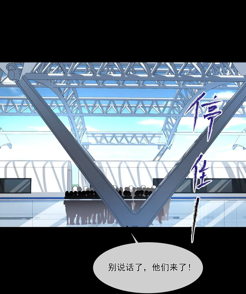 052宠物 第2页