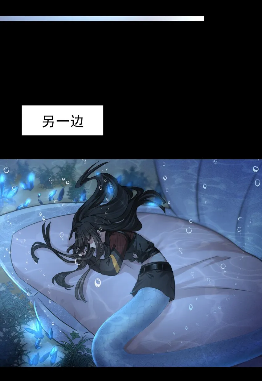 052宠物 第20页