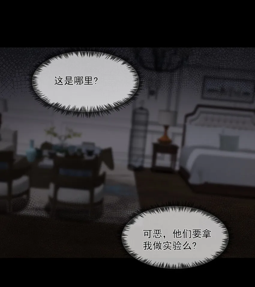 052宠物 第23页