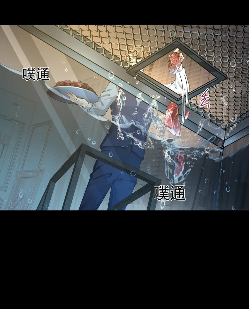 052宠物 第30页