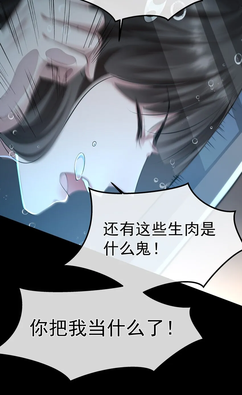 052宠物 第35页