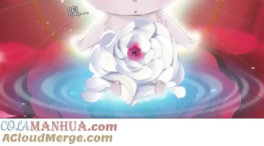 229【脑洞篇】把价格打下去 第13页