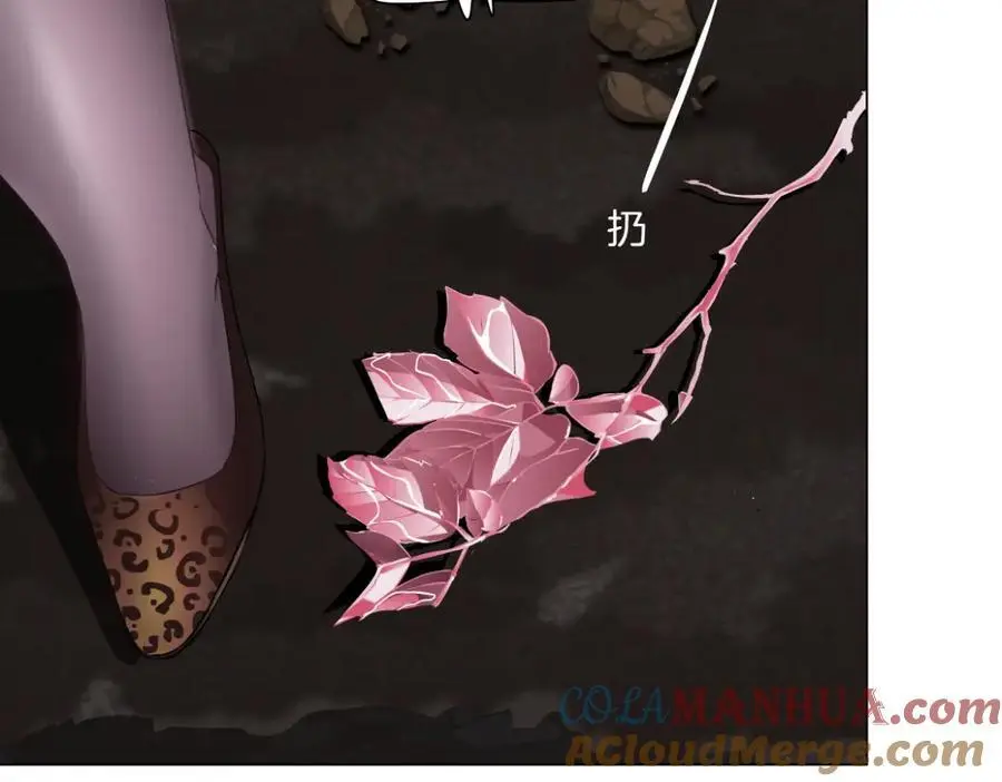 263【事业篇】谁是谁的食物 第49页