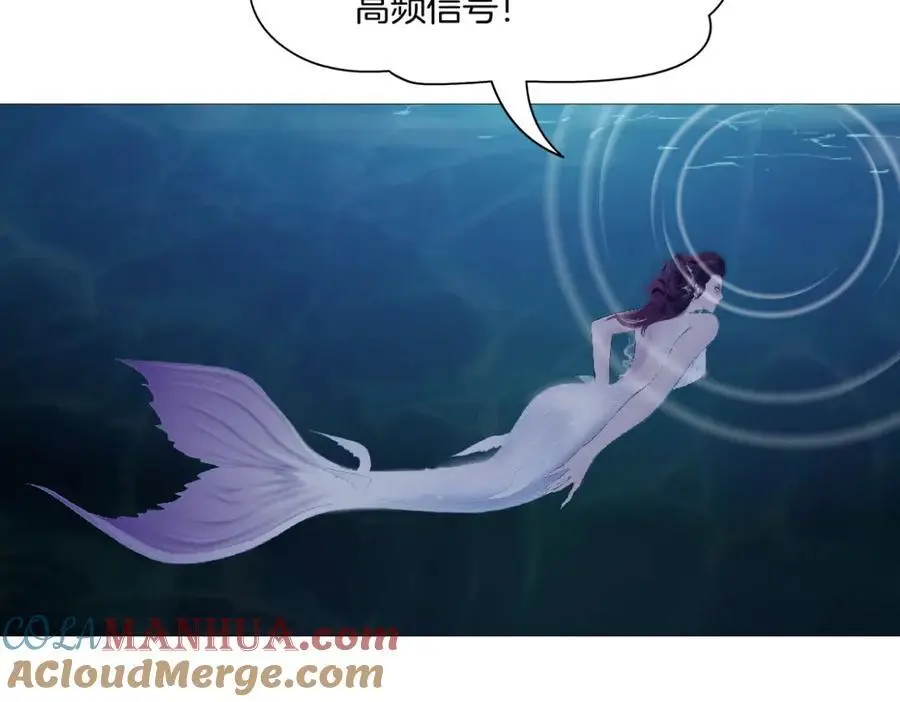 262【事业篇】人鱼的谎言 第37页