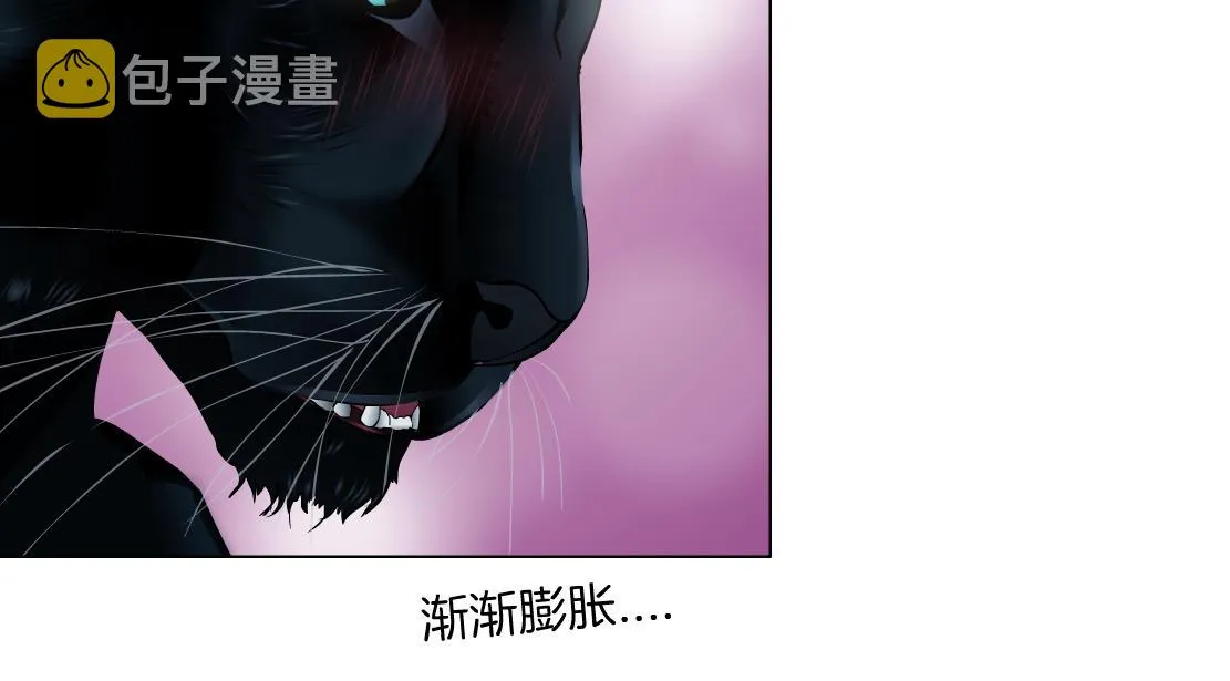 145【决战篇】乌斯曼得逞了 第43页