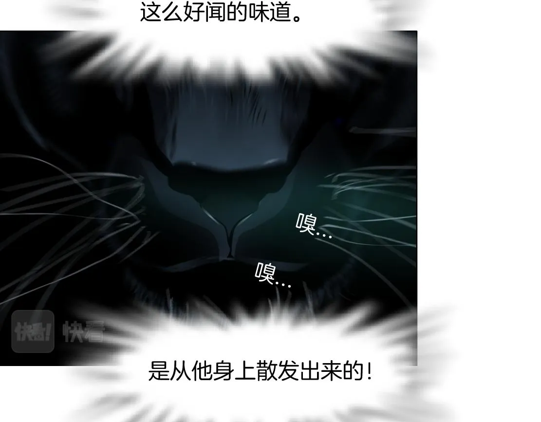 134【决战篇】把小白带走！ 第51页