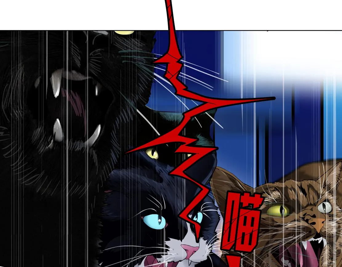 133【决战篇】黑则武知道啦！ 第51页