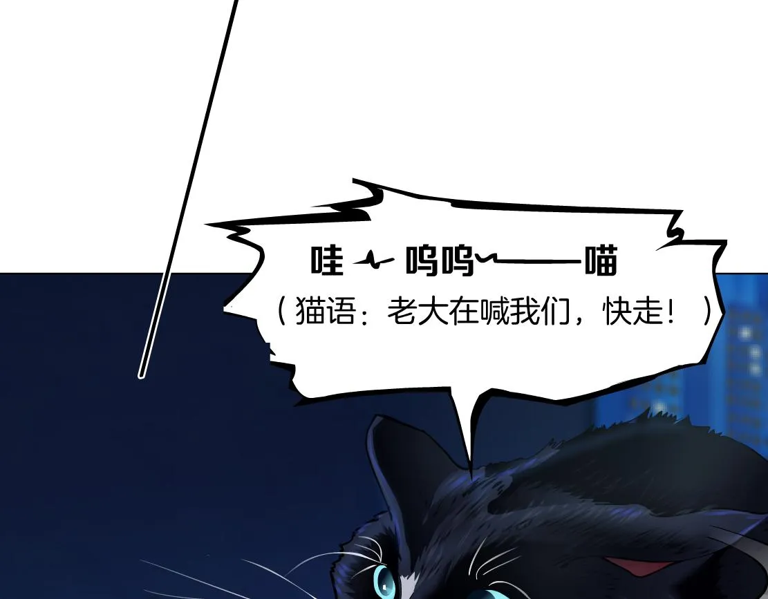 129【决战篇】猫语者 第47页